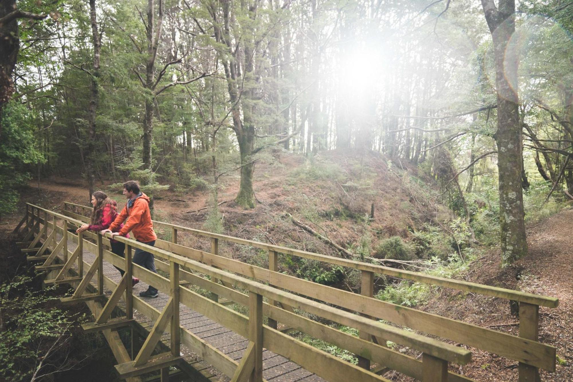 Fiordland National Park Lodge Te Anau Downs Экстерьер фото