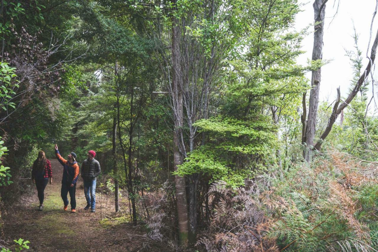 Fiordland National Park Lodge Te Anau Downs Экстерьер фото